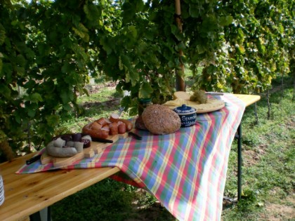Foto: Weingut Holzmühle